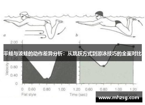 平蛙与波蛙的动作差异分析：从跳跃方式到游泳技巧的全面对比