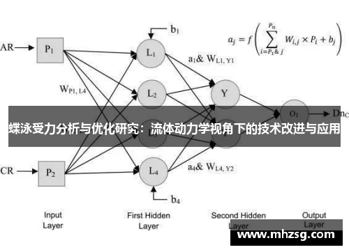 蝶泳受力分析与优化研究：流体动力学视角下的技术改进与应用